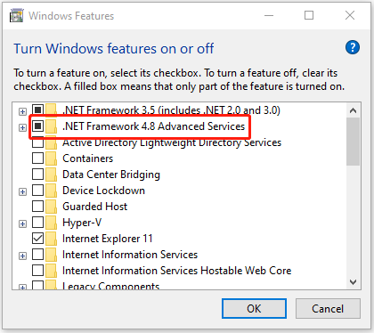 .NET Framework 4.8 Advanced Services