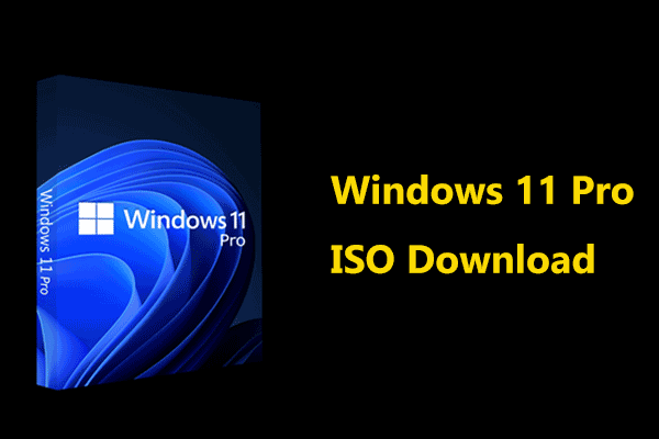 What Is Tiny11  a Lightweight Windows 11 for Download via ISO