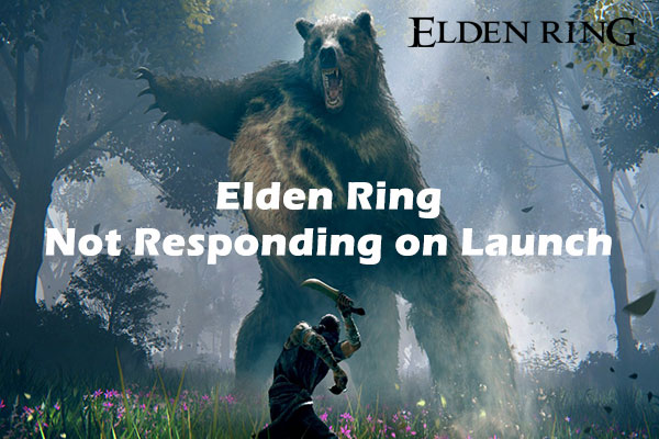 What to Do If Elden Ring Not Responding on Launch Steam/Xbox/PC