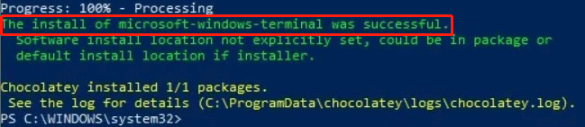 Windows Terminal installation is successful