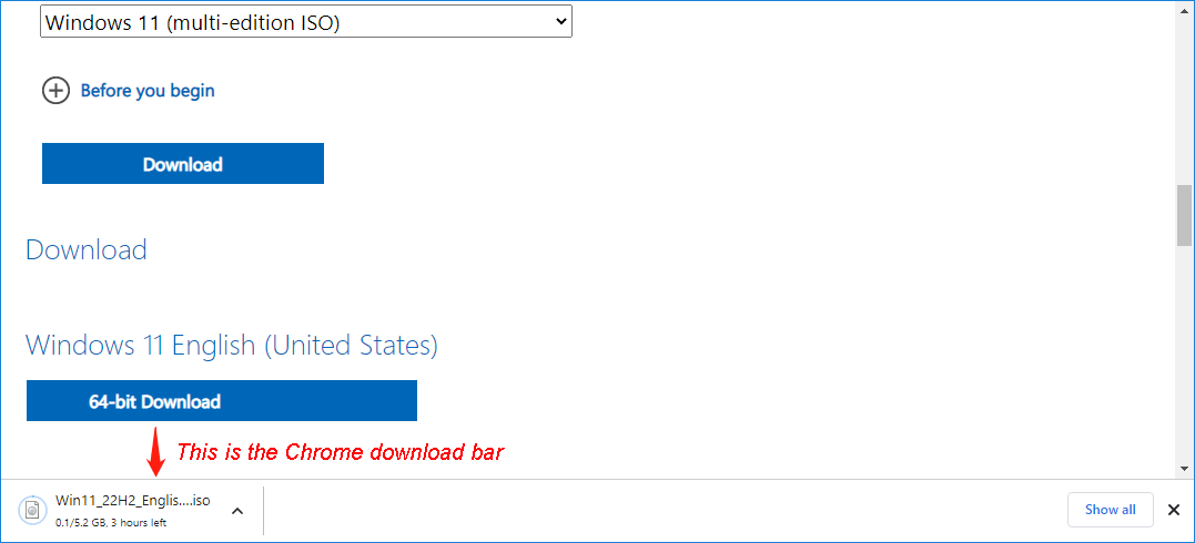Best Fixed For The Chrome Download Bar Is Not Showing Up MiniTool